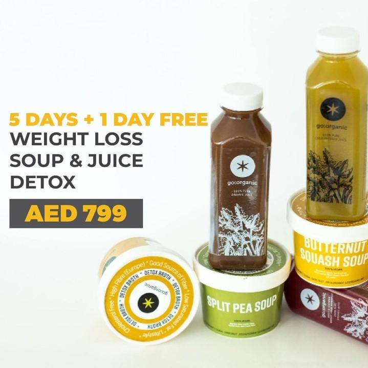 3 Days Fiber Fix Reset Real Fiber