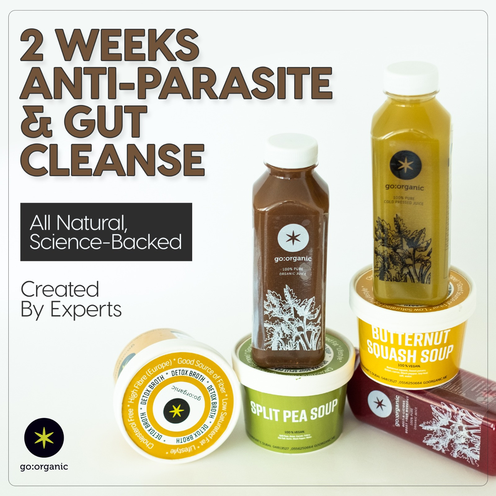 USE CODE - EID20 Clinical Gut Restore Protocol Microbiome Reset