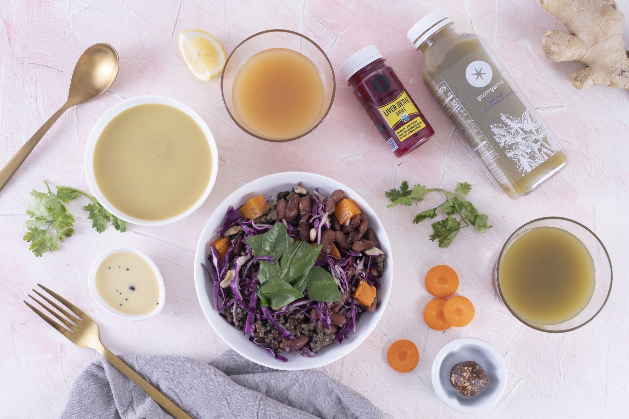 5 Day 1 Days FREE Anti Parasite Microbiome Reset