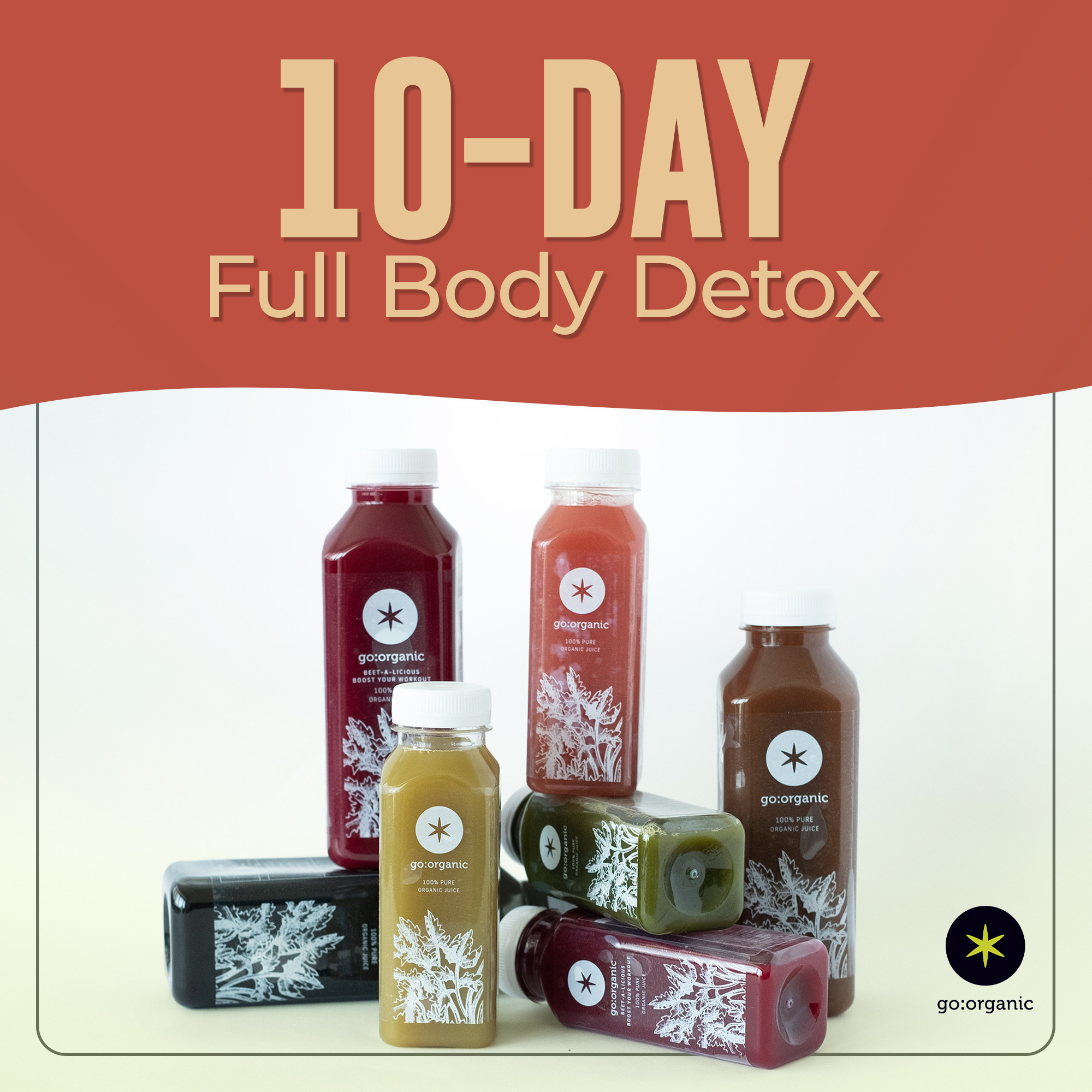 Deep Cellular Reset Fight Chronic Fatigue