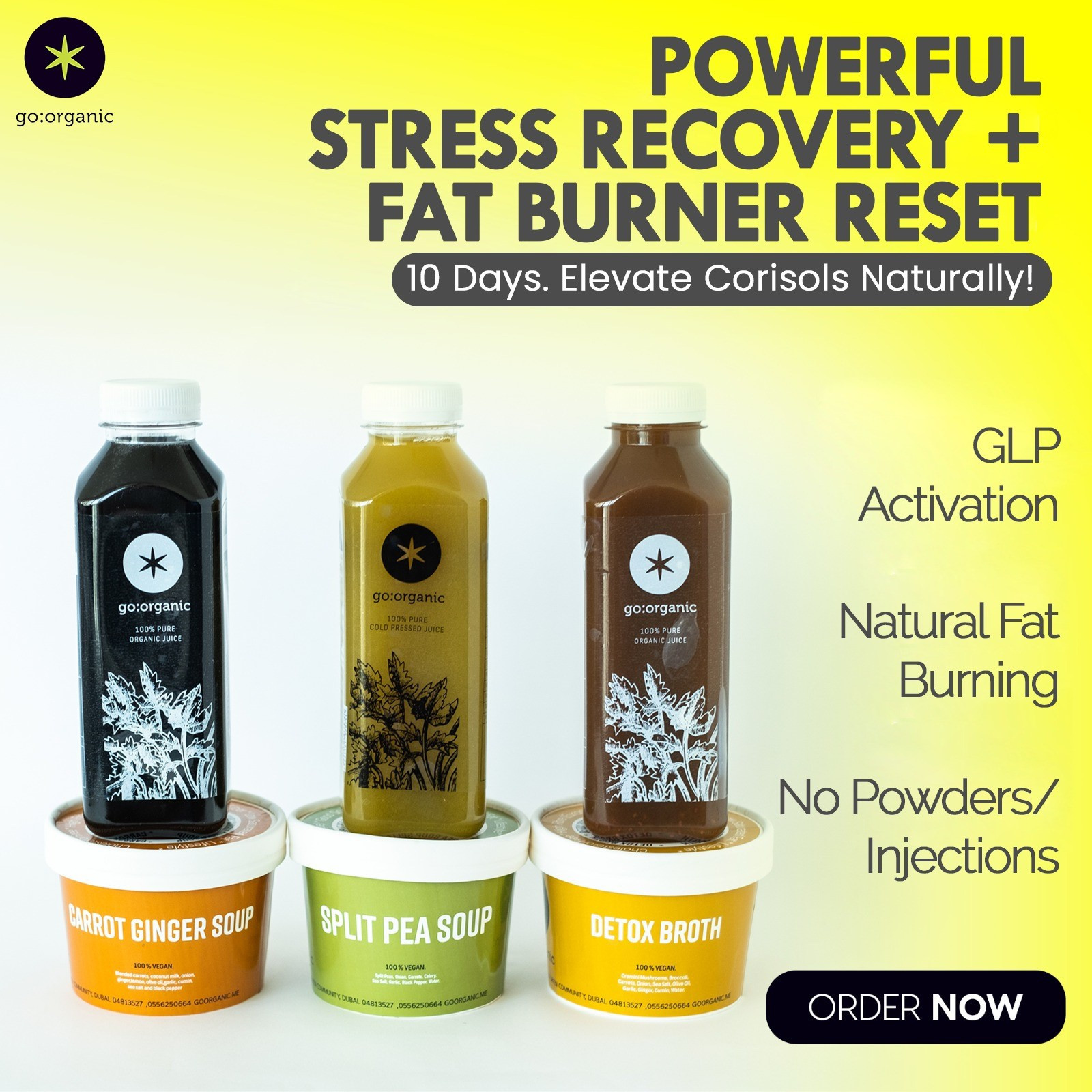 USE CODE- CARE20 10 Days Stress Recovery Fat Burner Reset