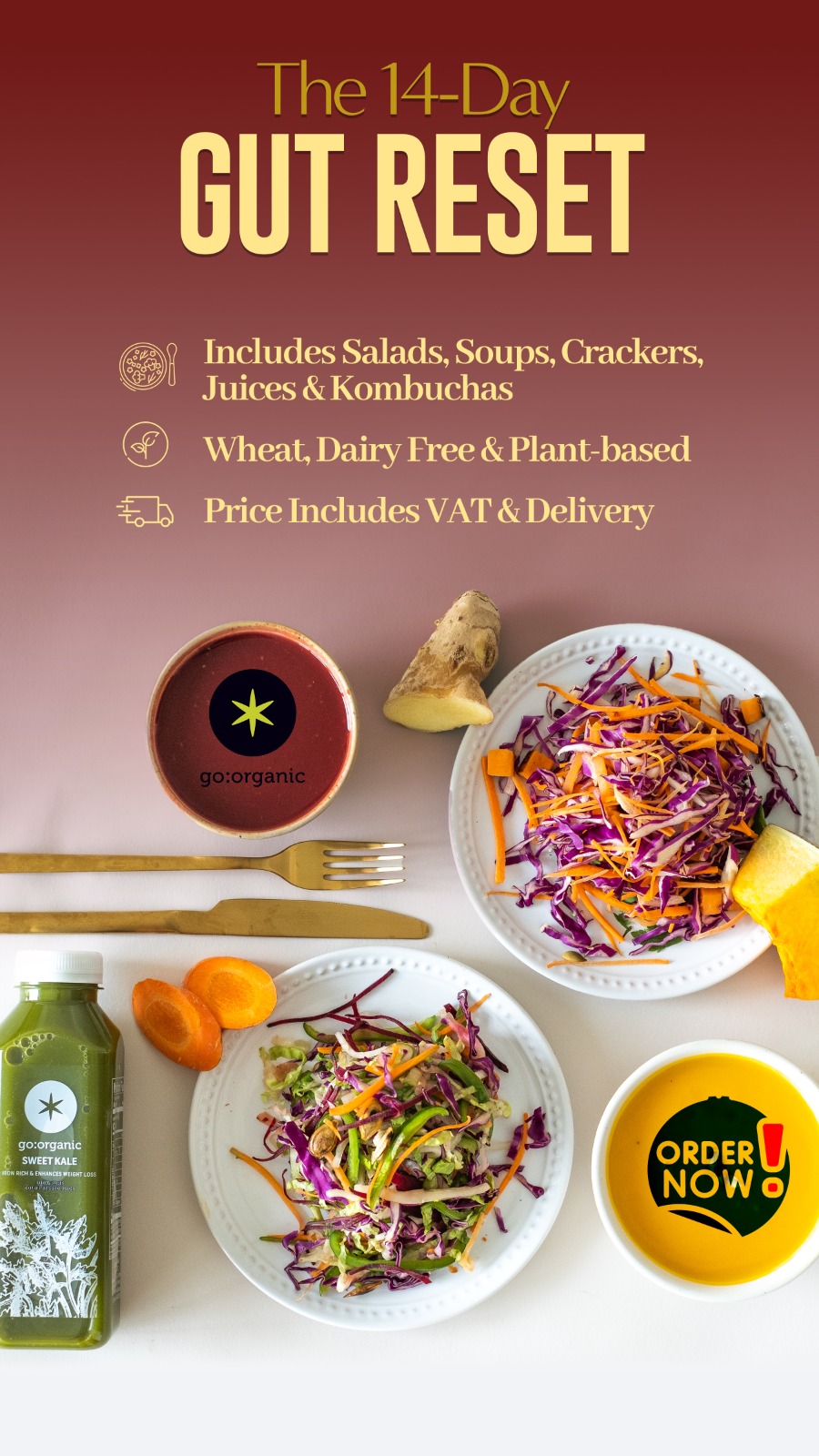 Clinical Gut Restore Protocol