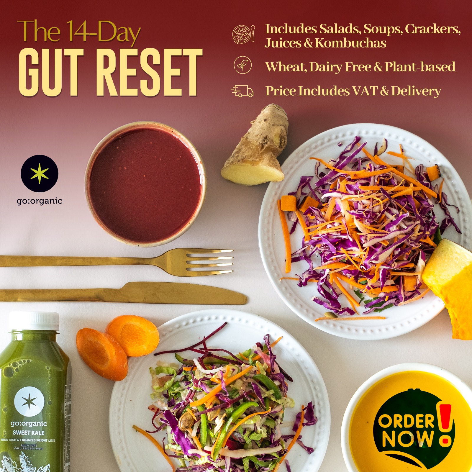 Anti - Parasite Gut  Microbiome ResetLose 3Kg in 2 Weeks