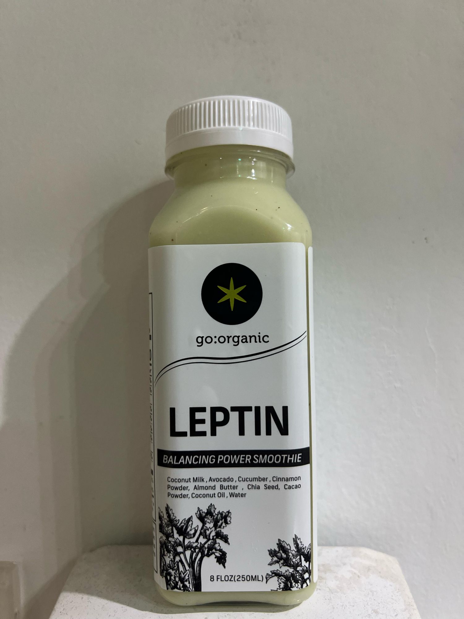 Leptin Balancing Power Smoothie