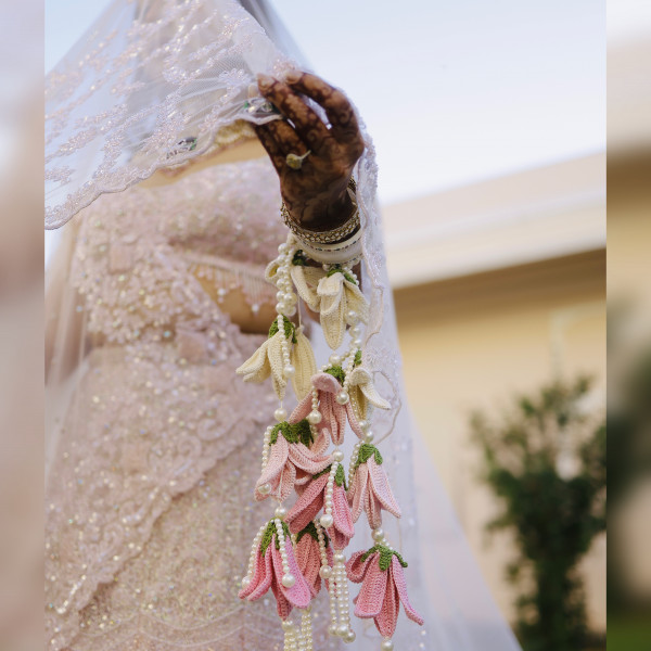 Pink Pearl Lily Kaleera