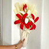 Celestial Red Bloom
