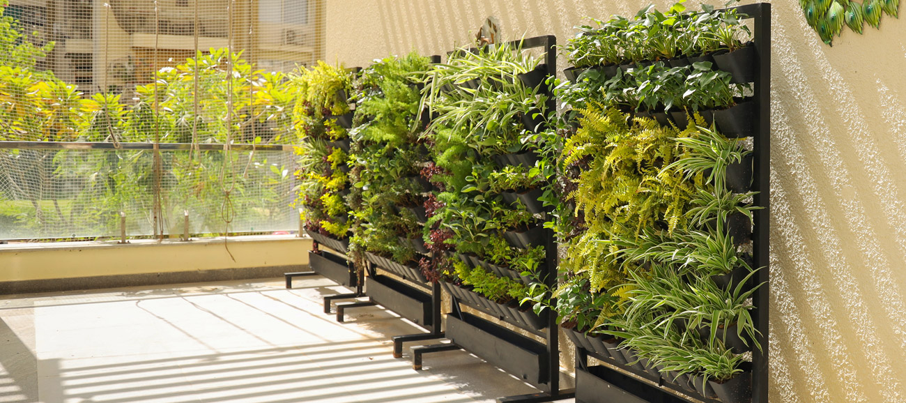 "Grow up! Transform your walls into living masterpieces with our vertical gardens."