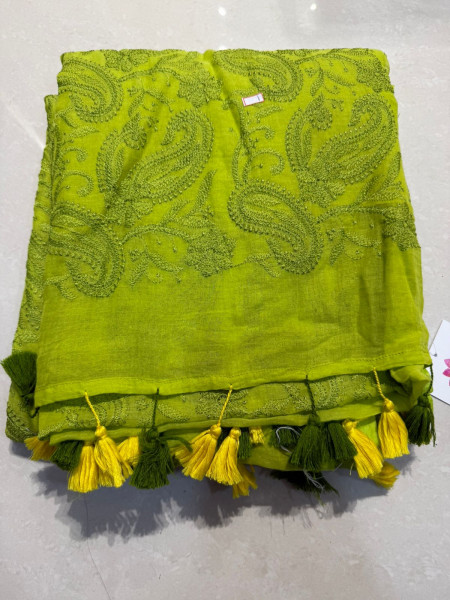 Green Chikankari Saree with Embroidered Blouse.