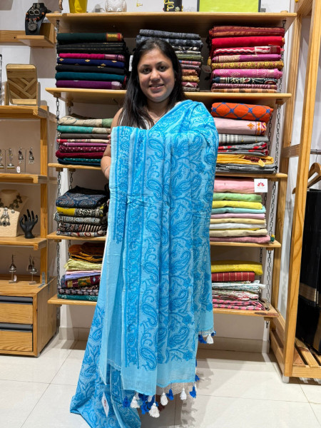 Chikankari work Mul Saree- Sky Blue