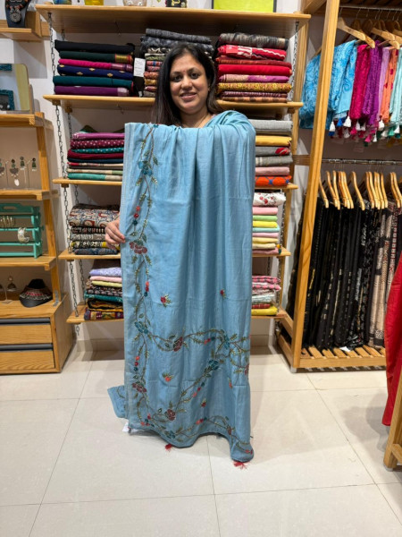 Mul chanderi Handpaint and Handwork Saree - Ice Blue