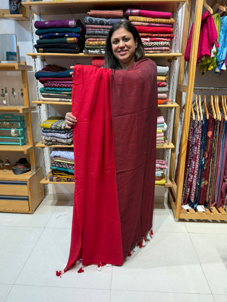 Half and Half Red Saree with Patchwork Blouse