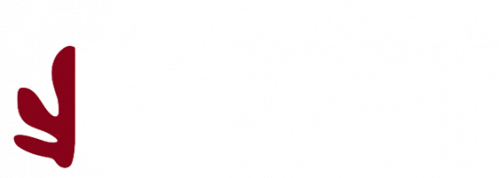 house of tasa