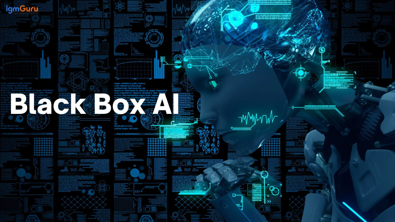 Black Box AI