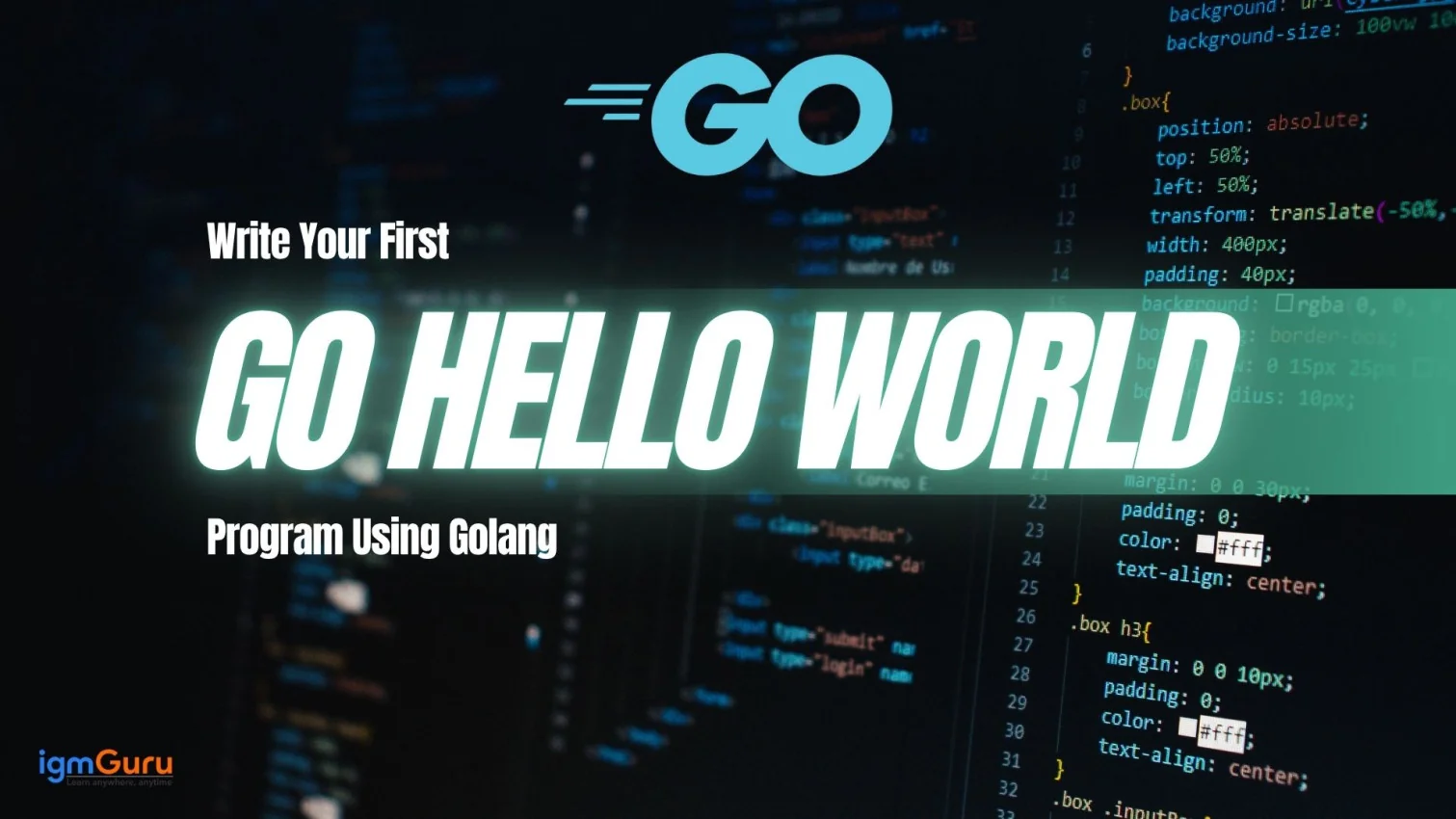 Go Hello World