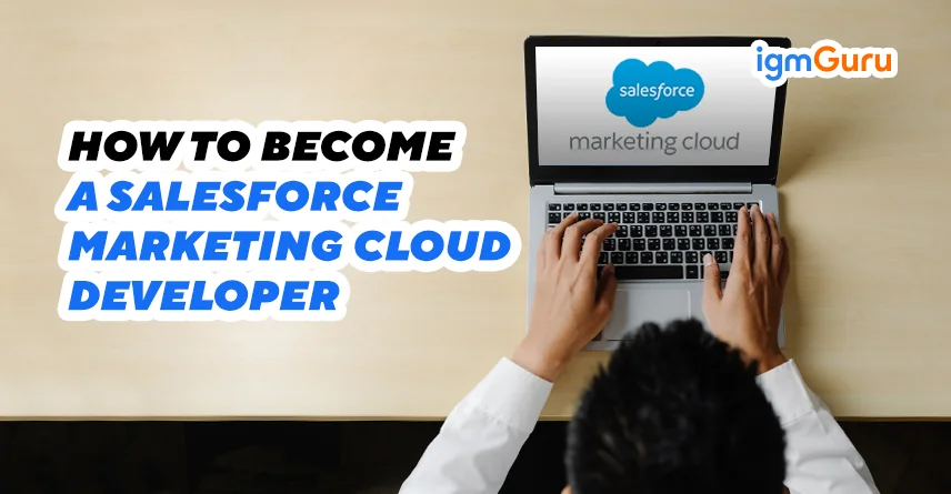 salesforce marketing cloud developer