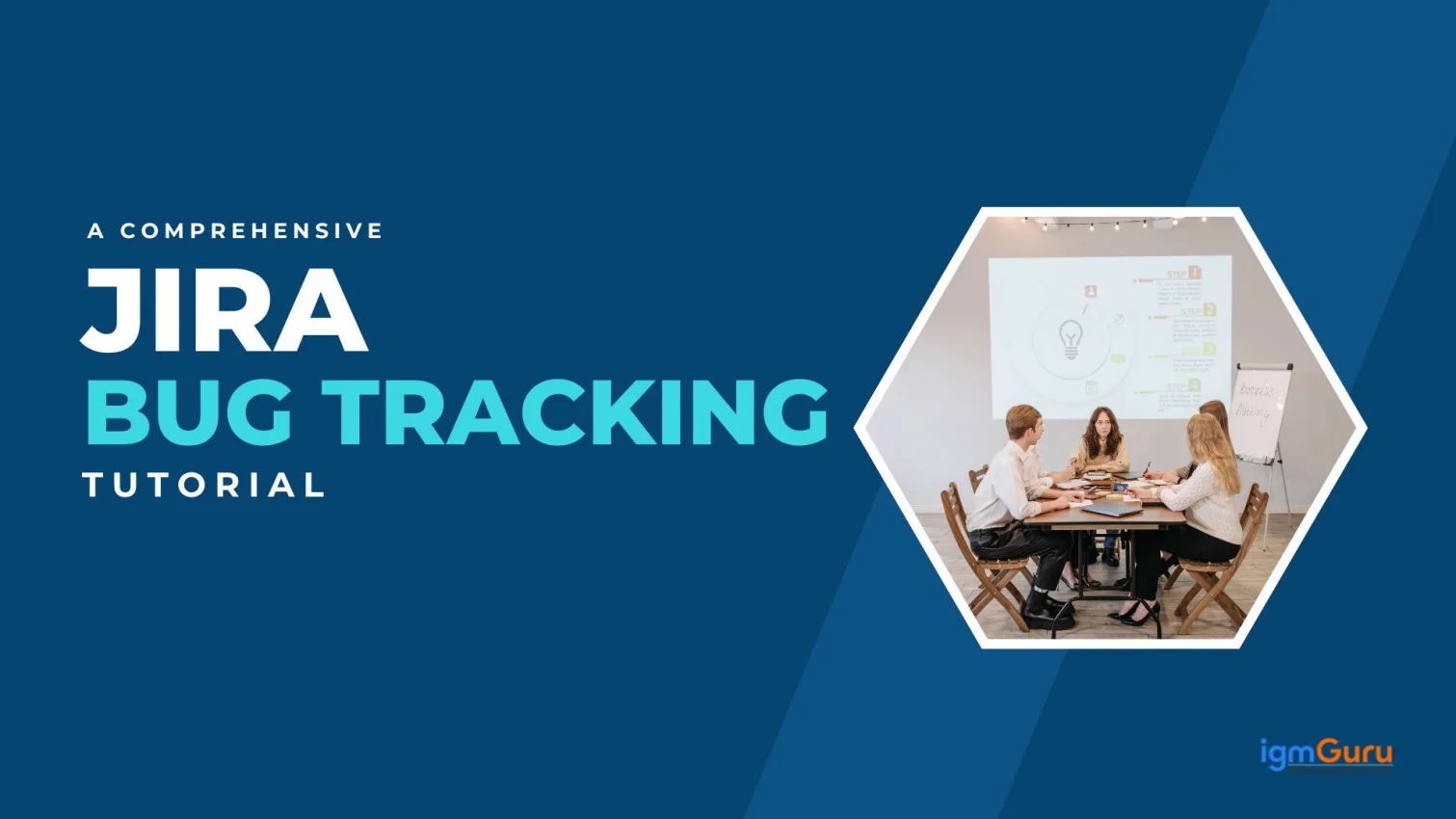 Jira Bug Tracking