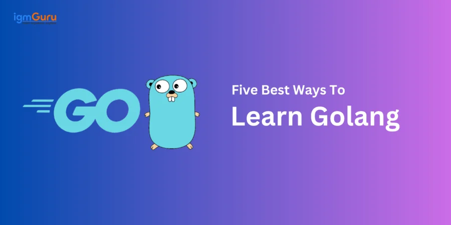 how to learn golang