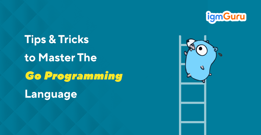 master go programming language