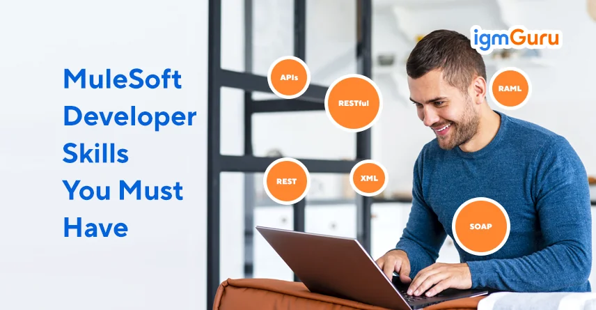 mulesoft developer skills