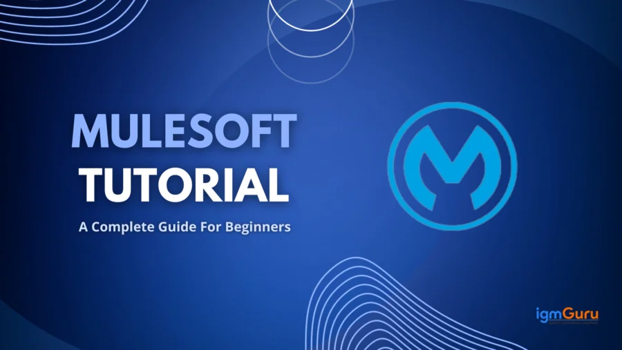 mulesoft tutorial