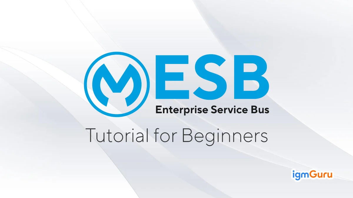 mule esb tutorial