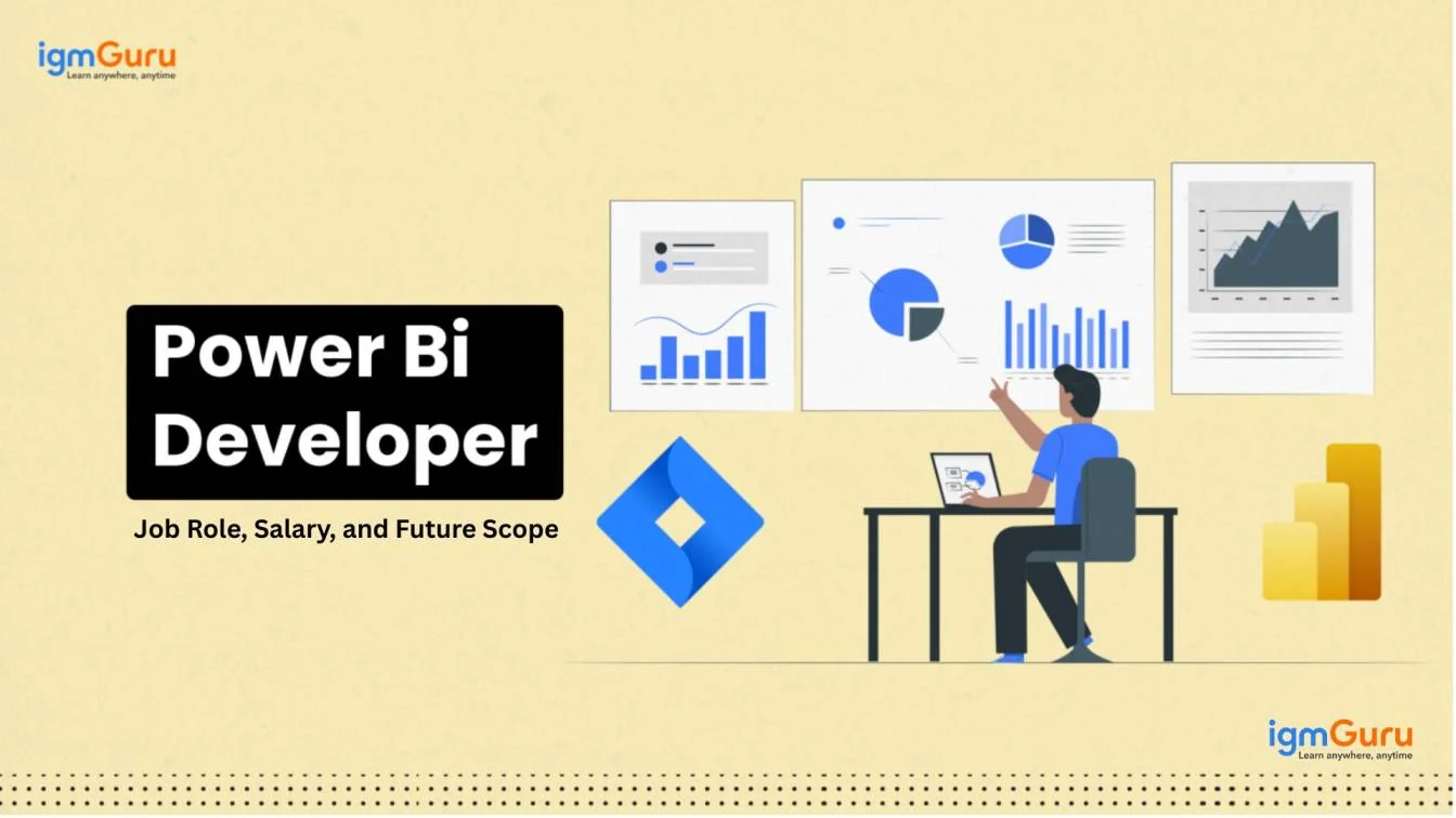 power bi developer