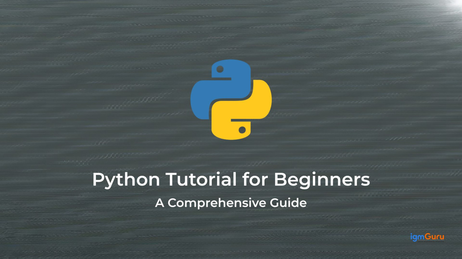 Python Training For Beginners photo