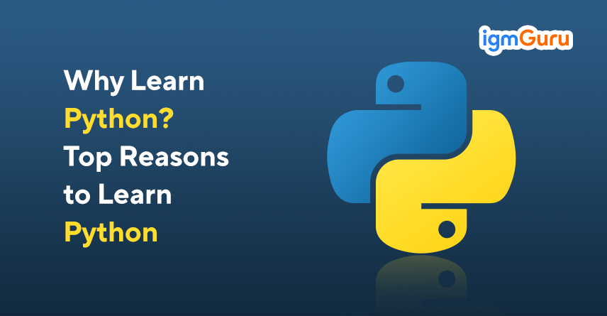 Reasons To Learn Python by Experts in 2025?