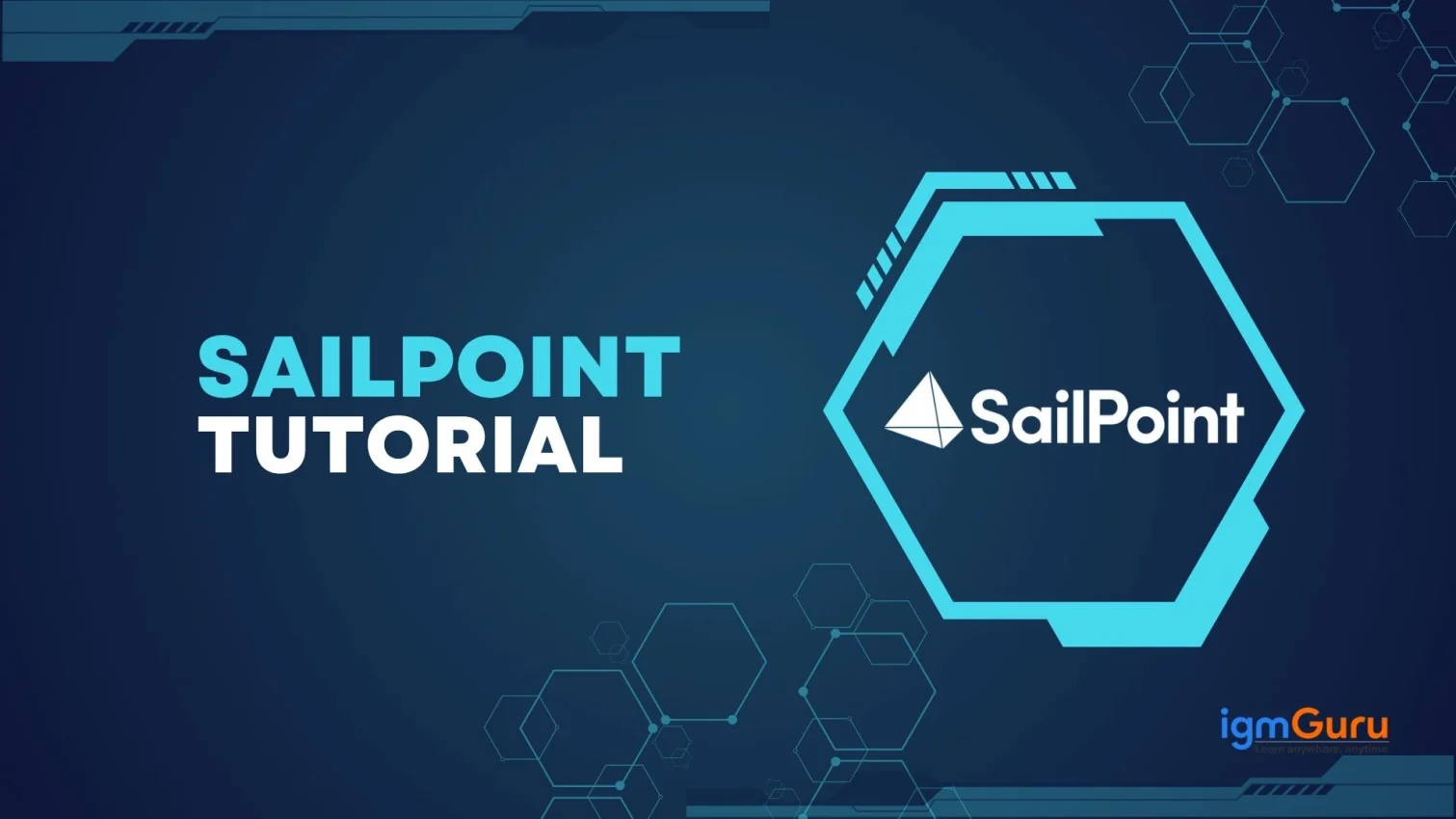 SailPoint Tutorial- Learn SaliPoint For Free (2026) | igmGuru