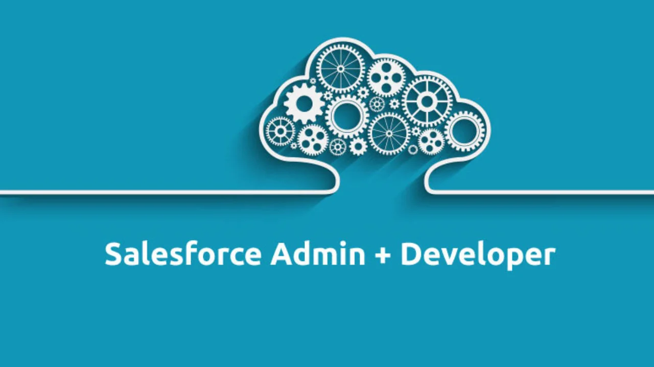 Salesforce Admin vs Developer