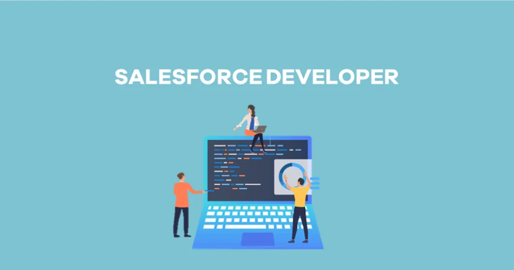 Salesforce Developer Tutorial For Beginners