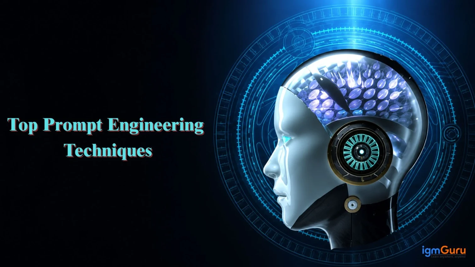 Top Prompt Engineering Techniques