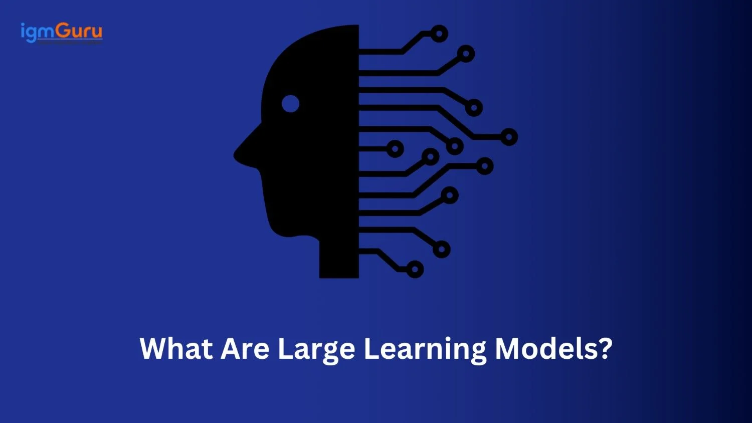 What are Large Language Models