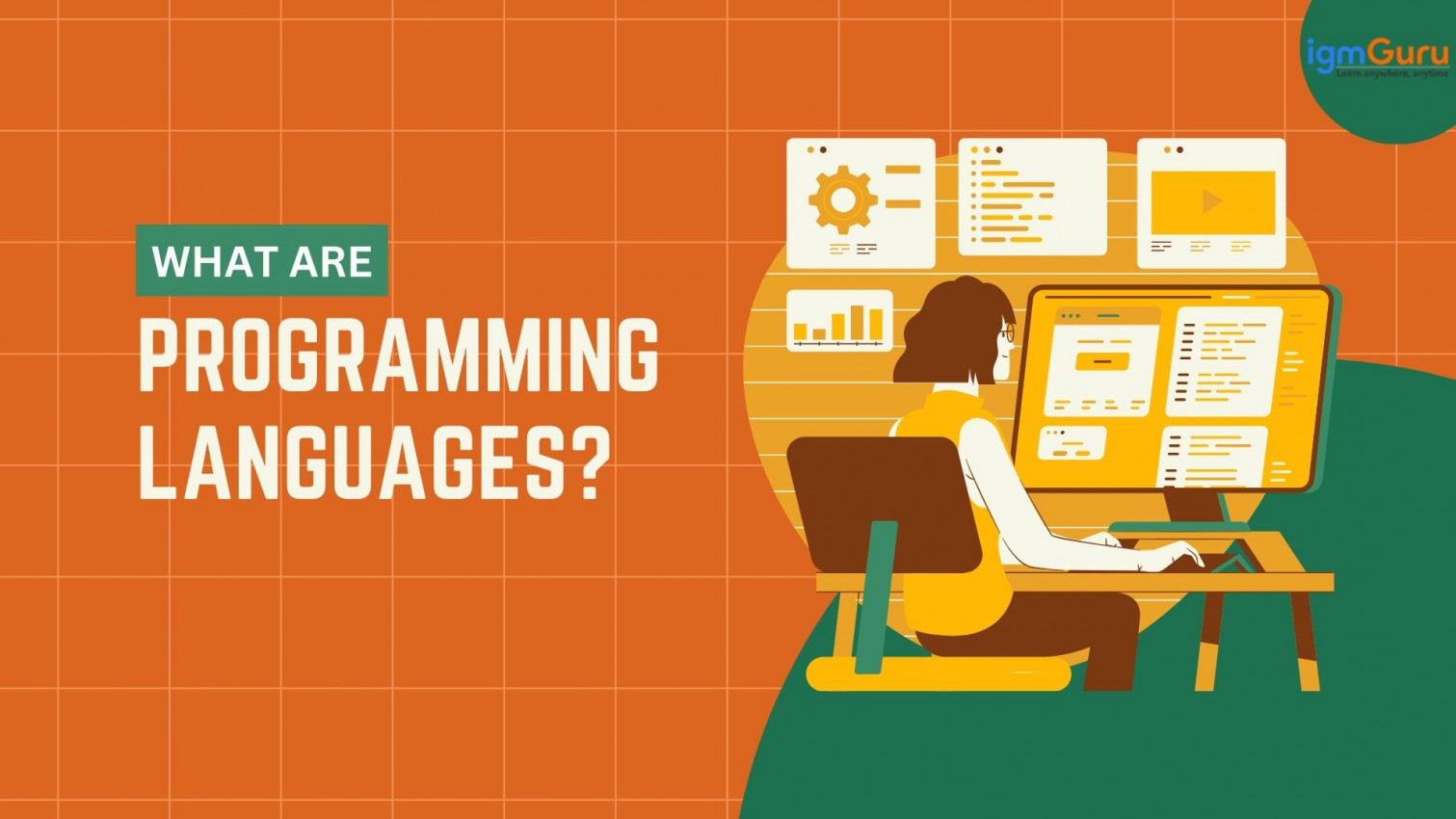 What are Programming Languages | igmGuru