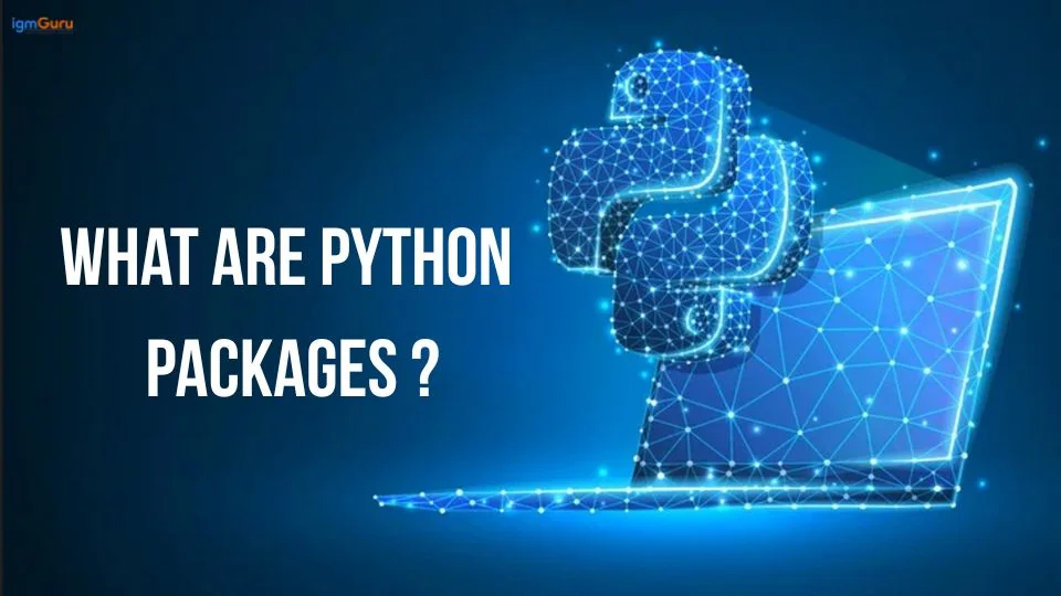 What are Python Packages