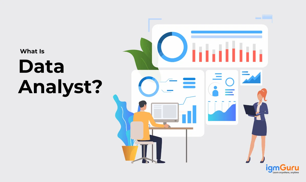 what is a data analyst
