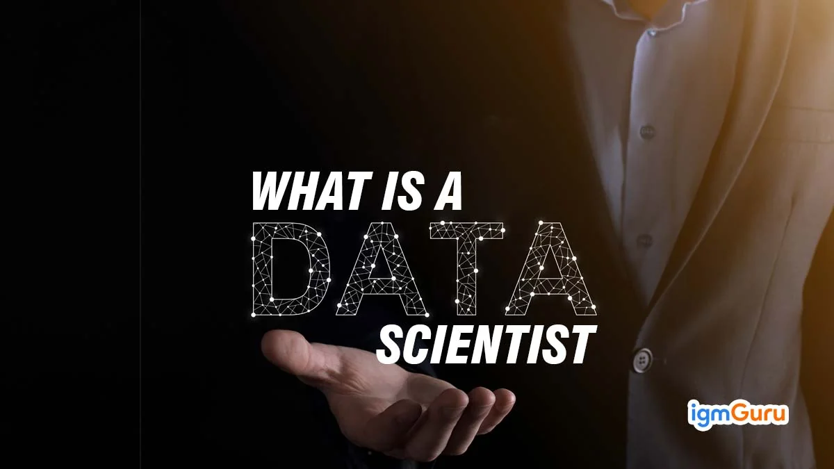 what is a data scientist