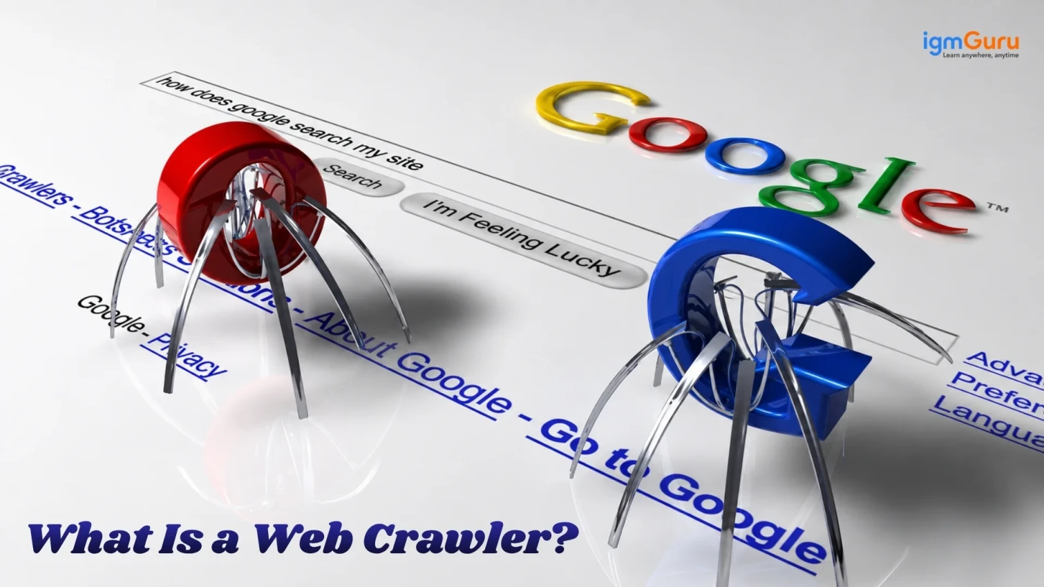 What Is a Web Crawler?