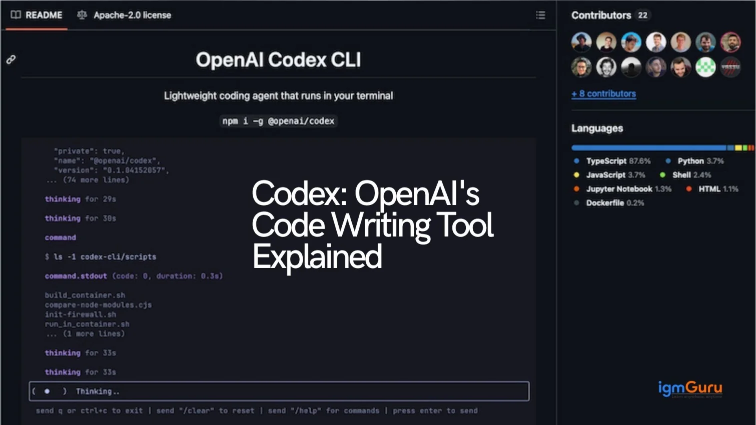 What is Codex