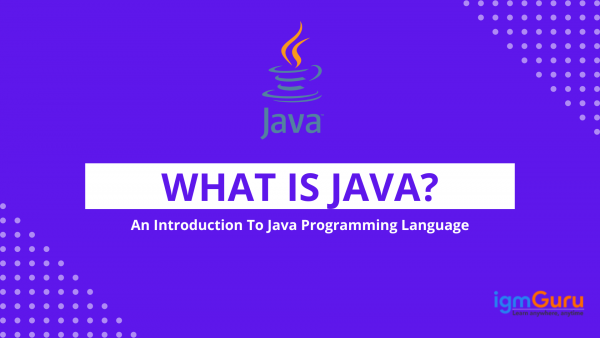 What Is Java? An Introduction to Java Programming Language