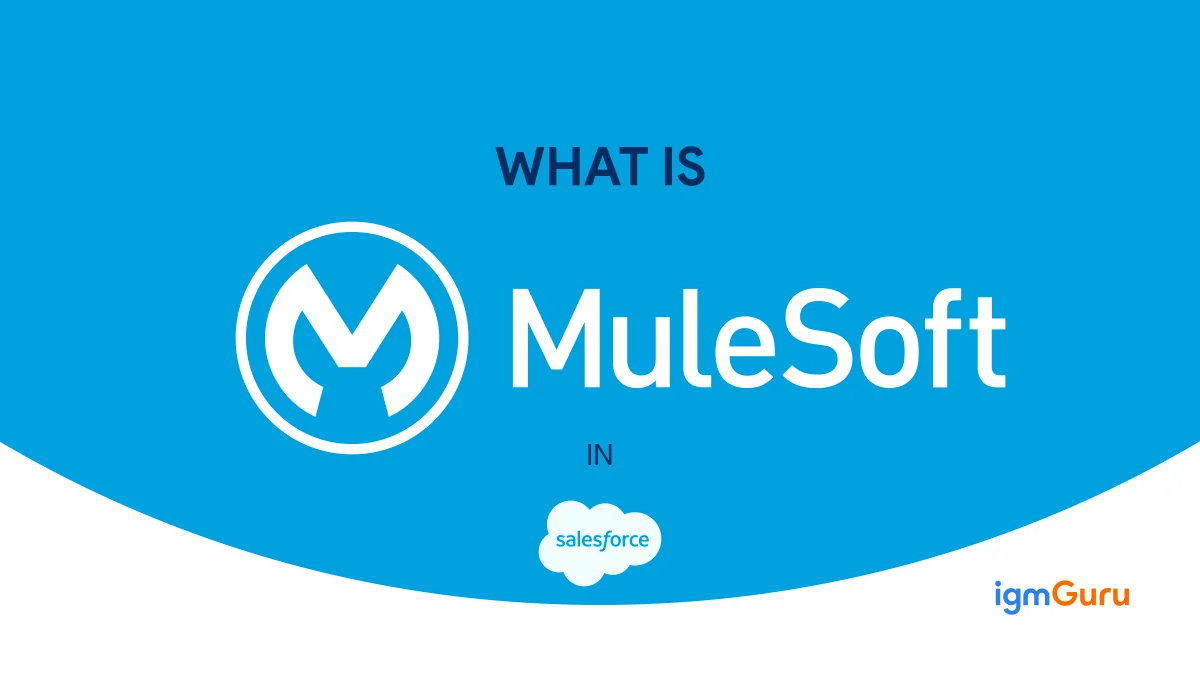 MuleSoft In Salesforce