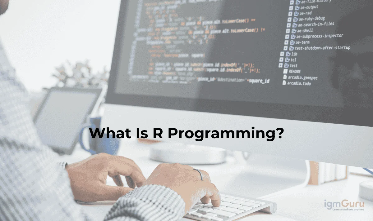 what is R Programming Language