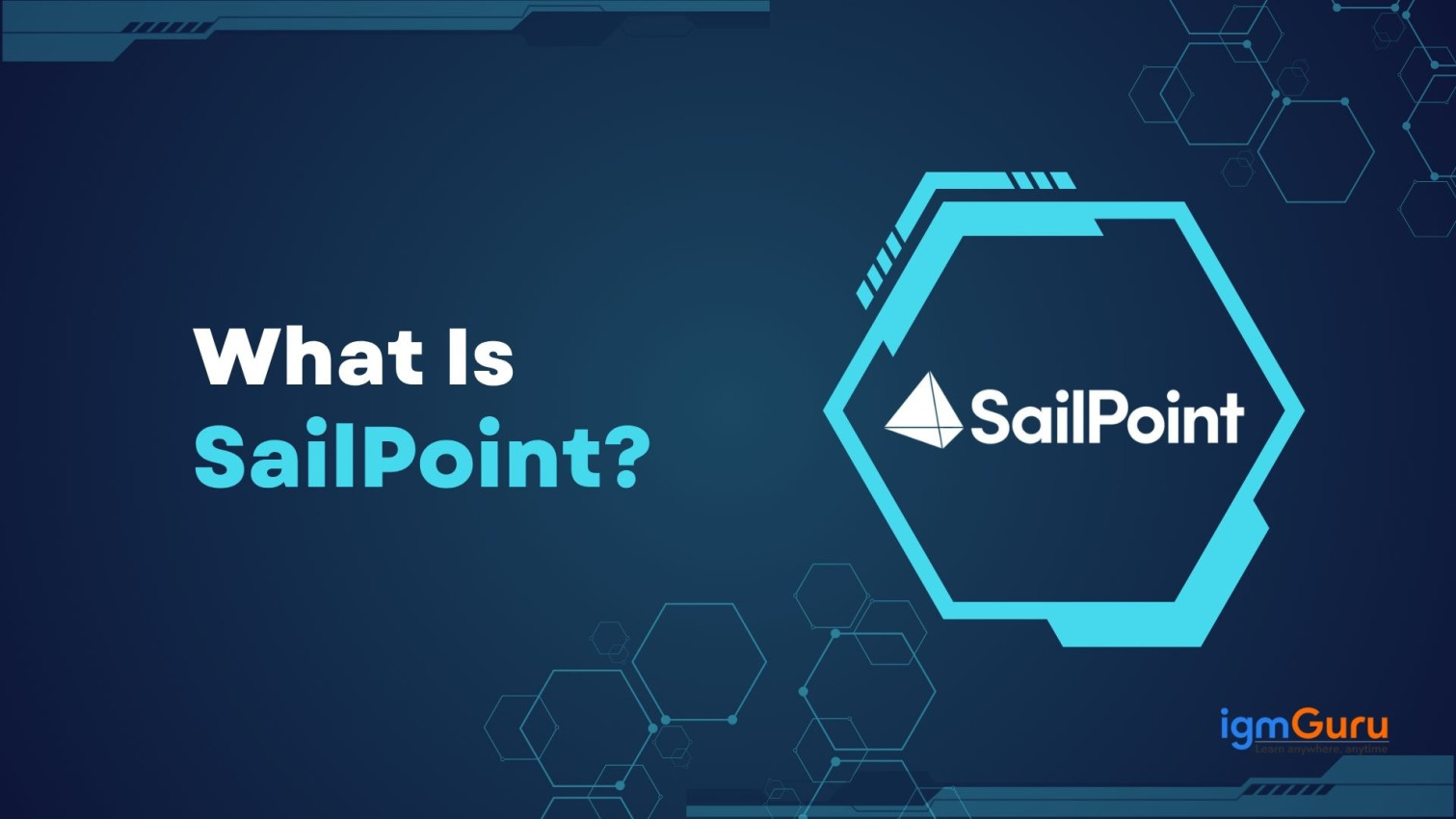What Is SailPoint: Features and Architecture Explained