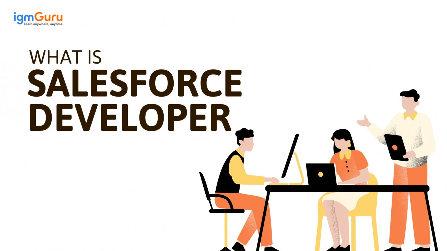 What is Salesforce Developer