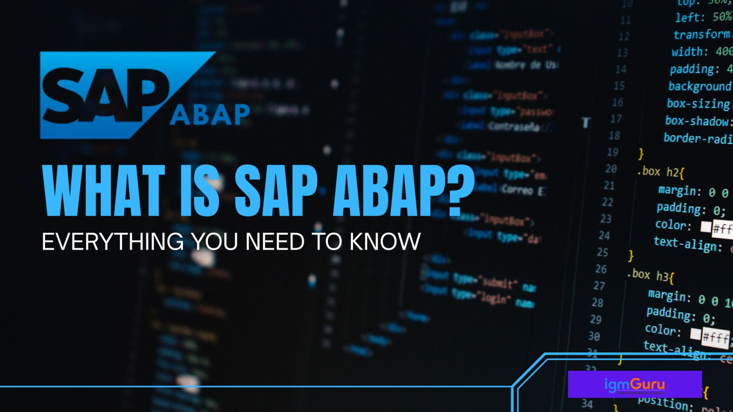What is SAP ABAP