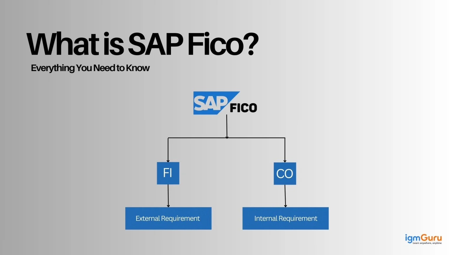 What is SAP Fico