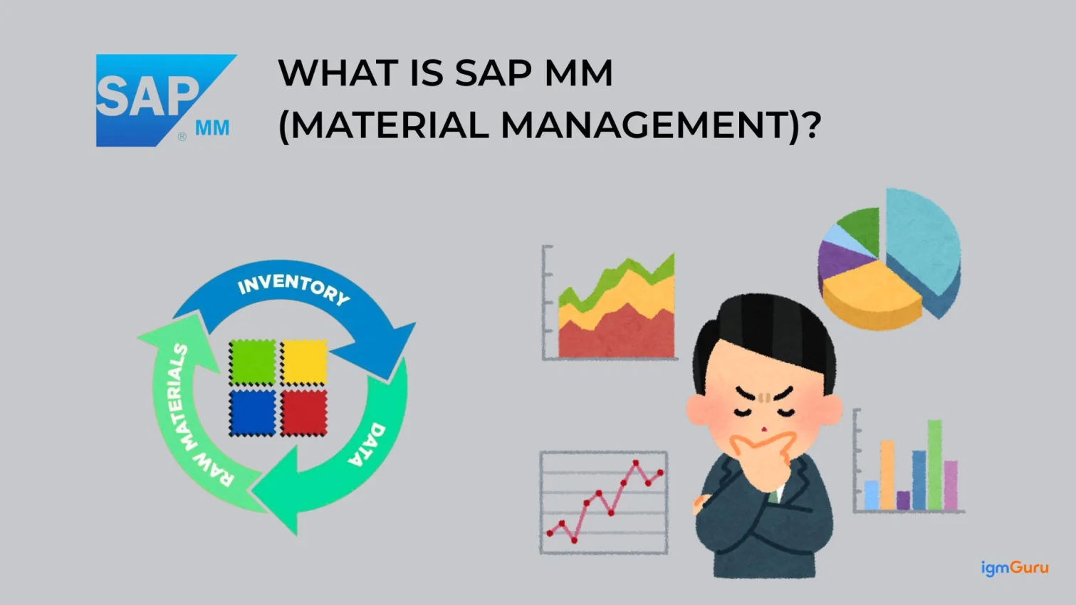 What is SAP MM