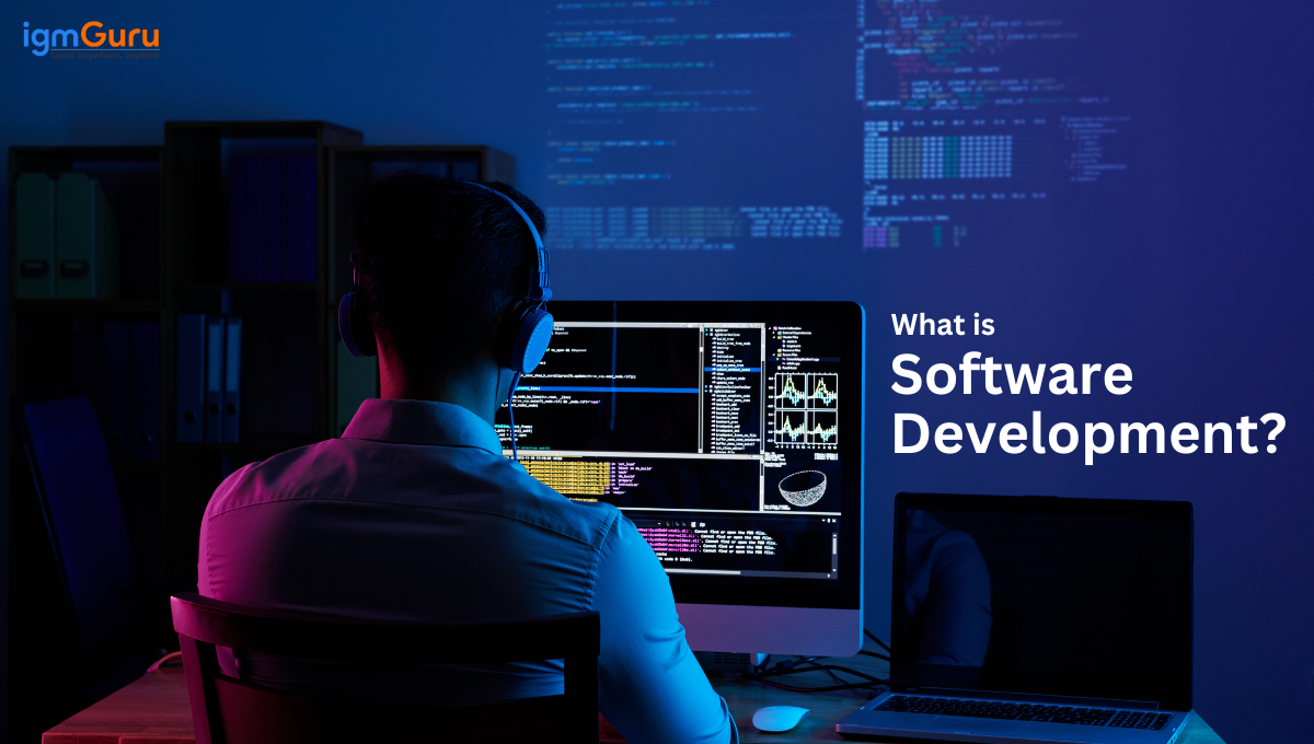 What is Software Development: Models And Types Explained