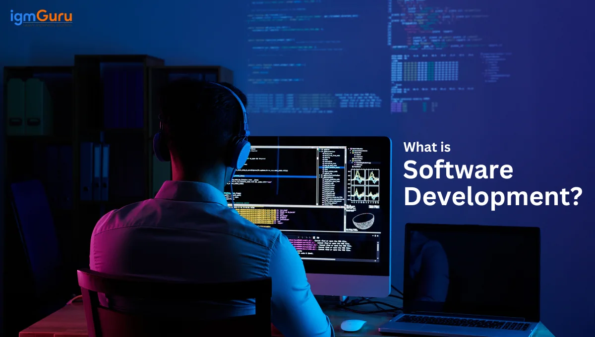 what is software development