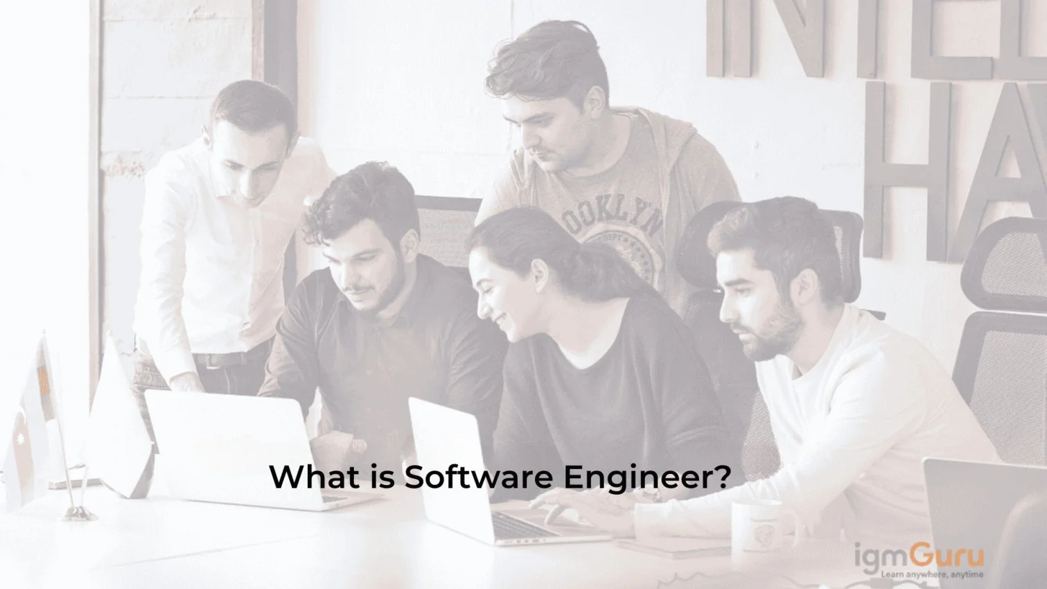 What are Software Engineers